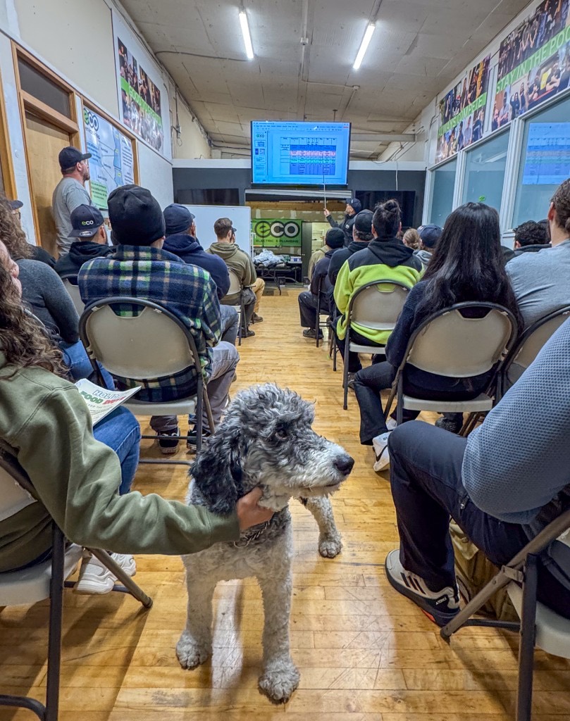 The Eco team in a company training session, with the office dog joining in